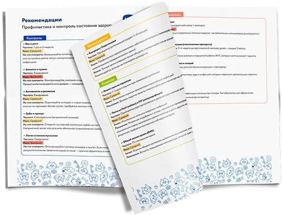 Пример рекомендаций после диагностики